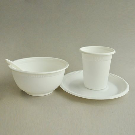 Disposable Dinnerware set 